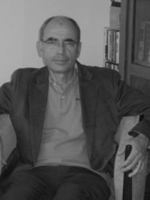 Olivier WIEVIORKA